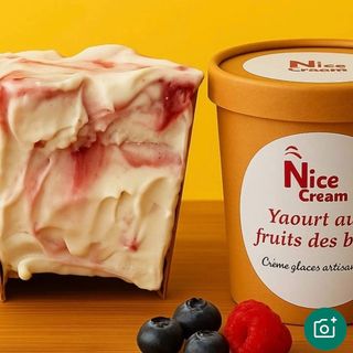 Glace Yaourt aux fruits des bois - 300ml