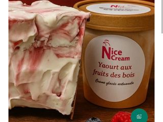 Glace Yaourt aux fruits des bois - 155ml