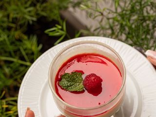 Panna Cotta
