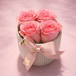 Le Lovely Porcelaine Roses Rose