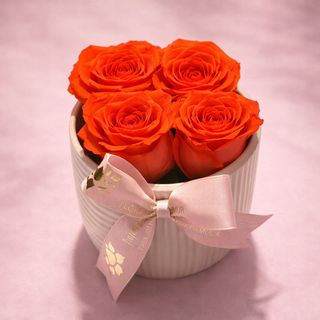Le Lovely porcelaine roses orange
