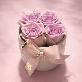 Lovely porcelaine roses Violet