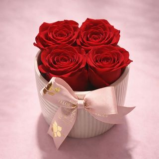 Le Lovely porcelaine roses rouge