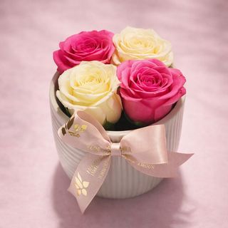 Lovely Porcelaine Roses Blossom