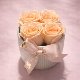 Le Lovely porcelaine roses saumon