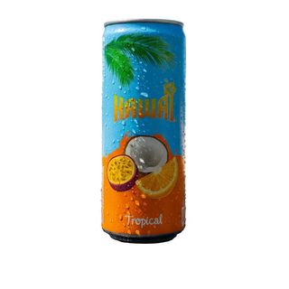Hawaï - Tropical 25 cl Canette
