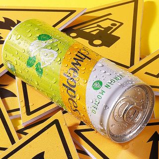  Schweppes Mojito ( 25cl ) - Canette