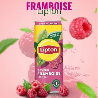 LIPTON FRAMBOISE