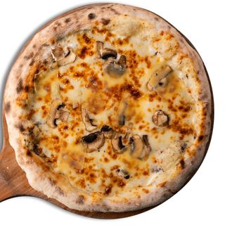Pizza Funghi