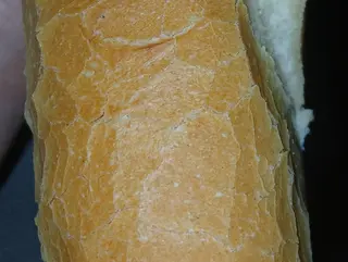 Sandwich thon special