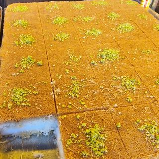 كنافة بالقشطة