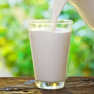 رايب