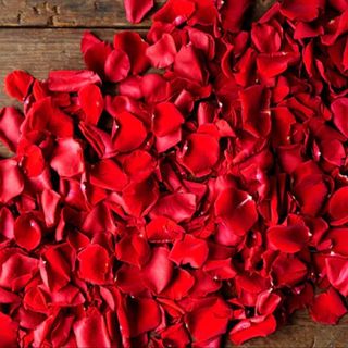 Red petals