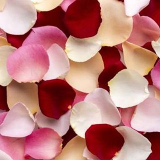 Mix petals