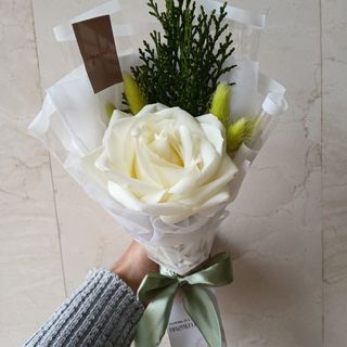 White Single rose