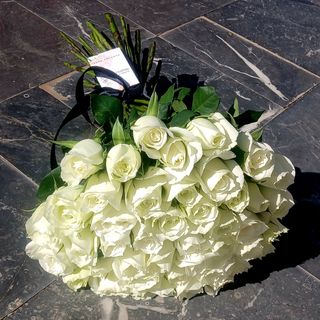 Simple white