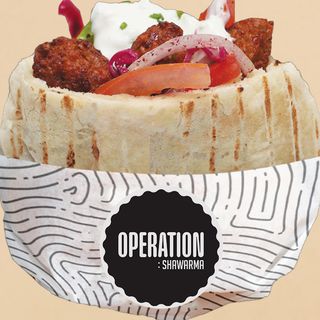 Pita Chicks Falafel