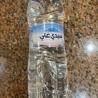 Sidi ali