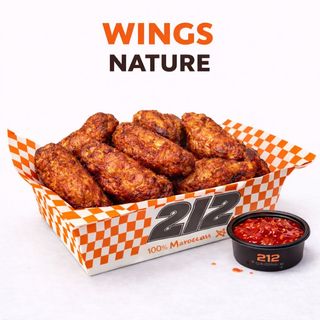 Wings Nature