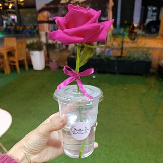 Rose Élégante dans Gobelet