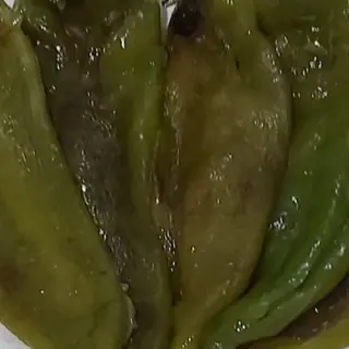 Fefela 7elowa ma9leya