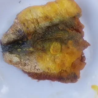 1 sherka sarden