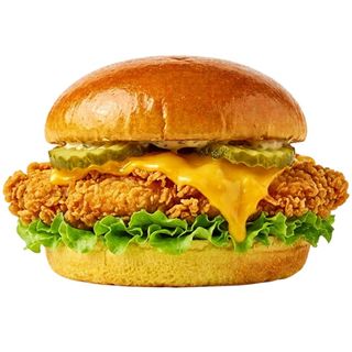 Chicken Burger & Fries