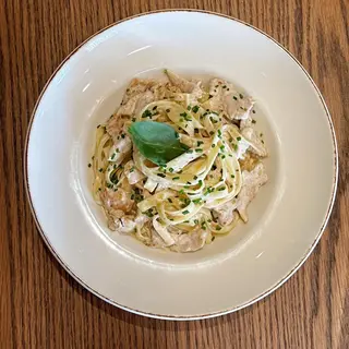 Alfredo