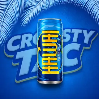 Hawaï Tropical - 25cl Canette
