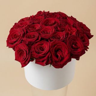 Grand Boîte des rose rouges