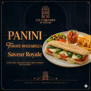 Panini Tomate Mozzarella avec Frites et Salade