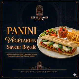 Panini Végétarien avec salade et frite