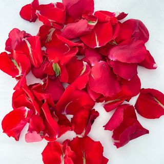 Pétales de rose 20 rose
