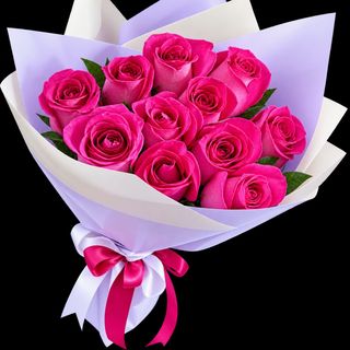 Éclat de Rose – 11 Roses Fuchsia