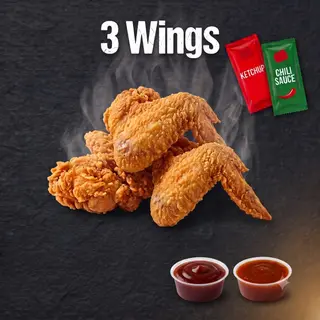 Wings X3