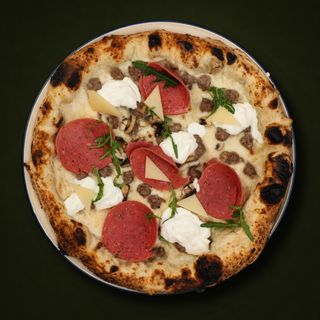 Carnivora