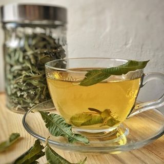 Verveine