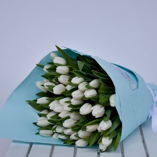 buchet din 51 lalele albe