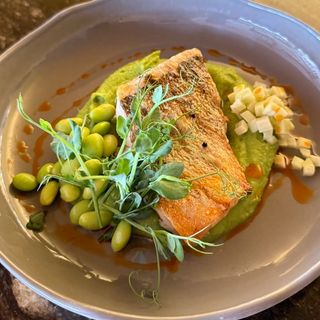 Șalău cu piure de mazăre verde