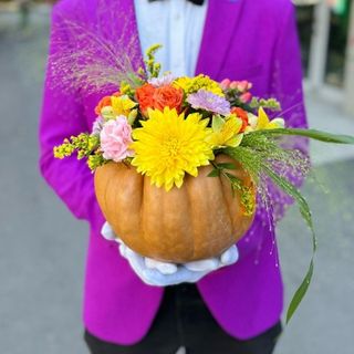 Compozitie in Dovleac