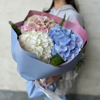 Buchet cu 3 Hortensii Multicolore