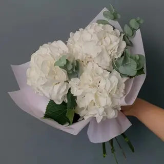 Buchet din 3 Hortensii Albe si Eucalipt