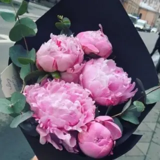 Buchet din 5 Bujori Roz in Hartie Neagra