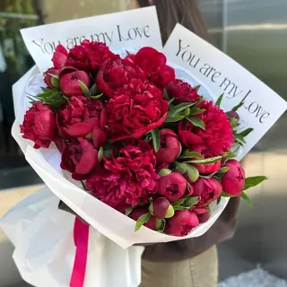 Buchet din 25 Bujori Bordo