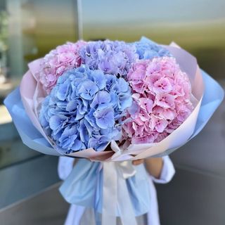 Buchet din Hortensii Multicolore