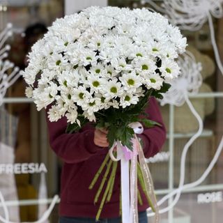 Букет из 15 веток белой хризантемы