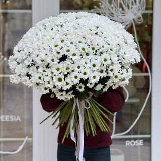 Букет из 55 веток белой хризантемы