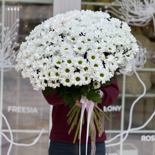 Букет из 25 веток белой хризантемы