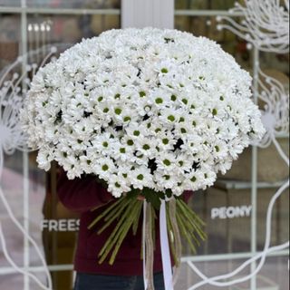 Букет из 45 веток белой хризантемы