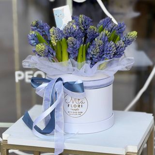 Коробка из гиацинтов - "Синий бархат"